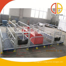 New product double pig farrowing cages